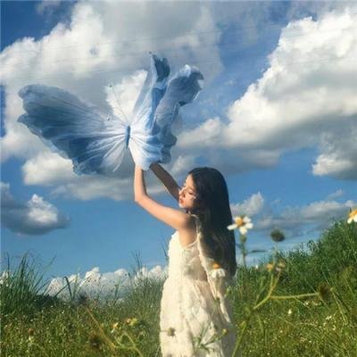 星卡梦少女1花语笔记