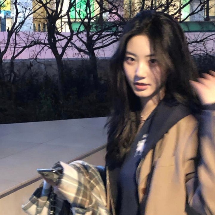 风云之拳破苍穹